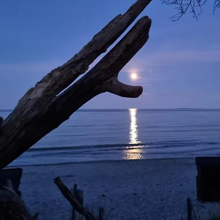 Ferienwohnanlage Odins Blick - 12 - Direkt Am Privatstrand, Mit Sauna, Garten לובה